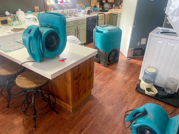 Best Water damage restoration near me  in Guerneville, CA